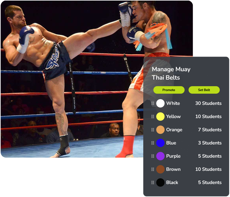 Run Your Dojo Like a Black Belt Business.